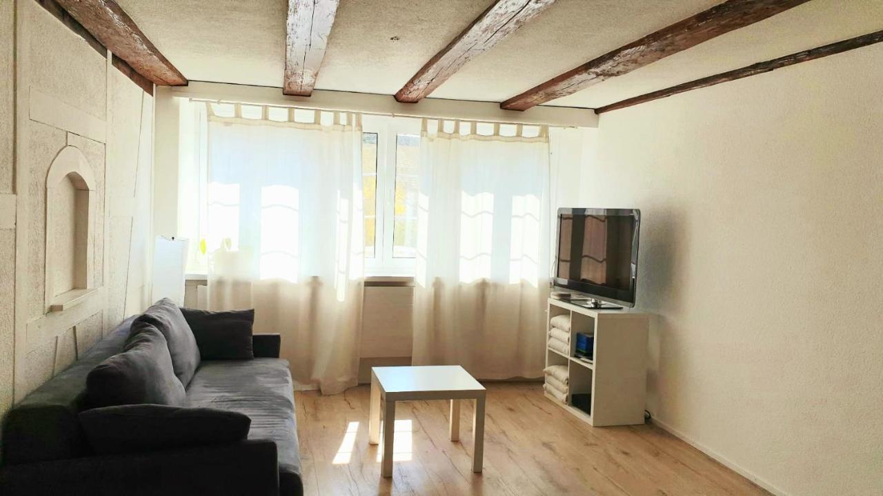 Cozy Apartment Close To Zurich Airport And City Oberglatt Bagian luar foto