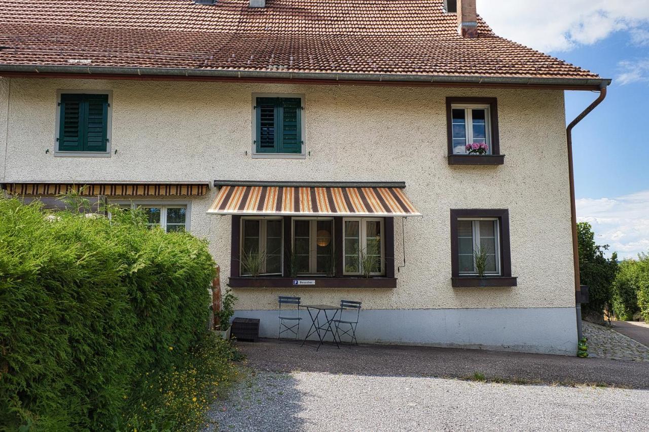 Cozy Apartment Close To Zurich Airport And City Oberglatt Bagian luar foto